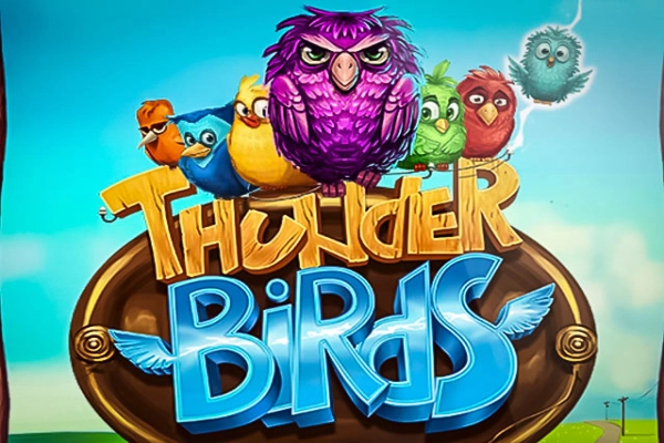 Power Zones Thunder Birds